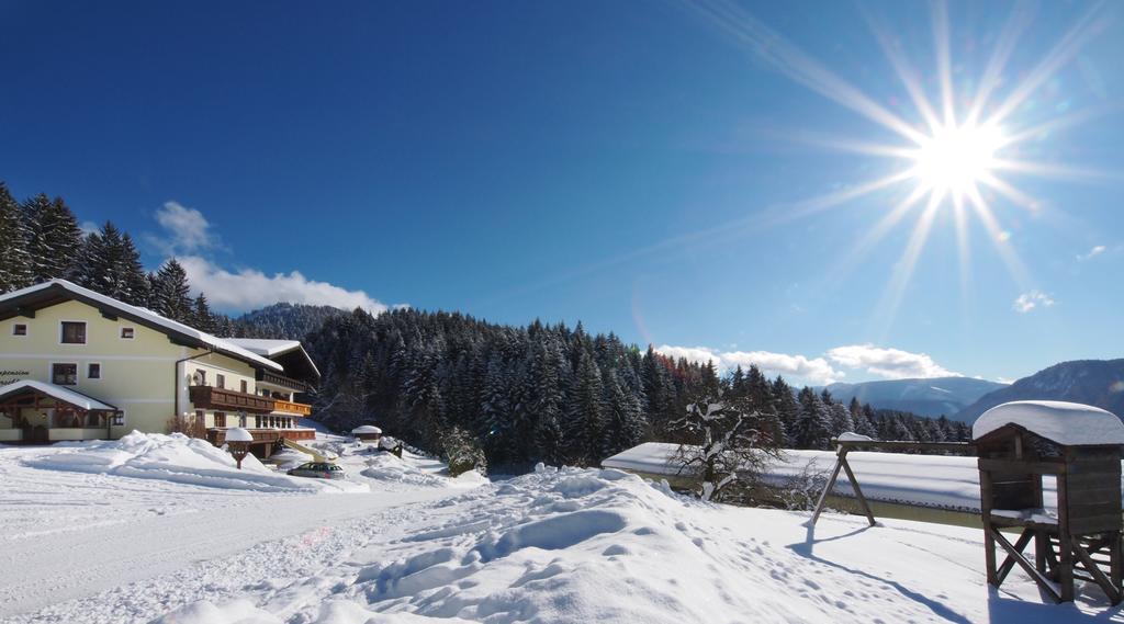 Alpenapartments Unterschlag Анаберг им Ламертал Екстериор снимка