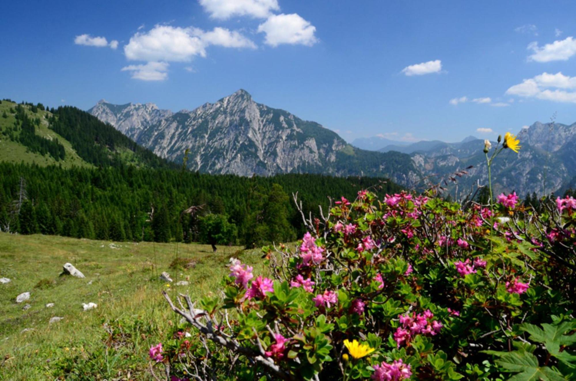 Alpenapartments Unterschlag Анаберг им Ламертал Екстериор снимка