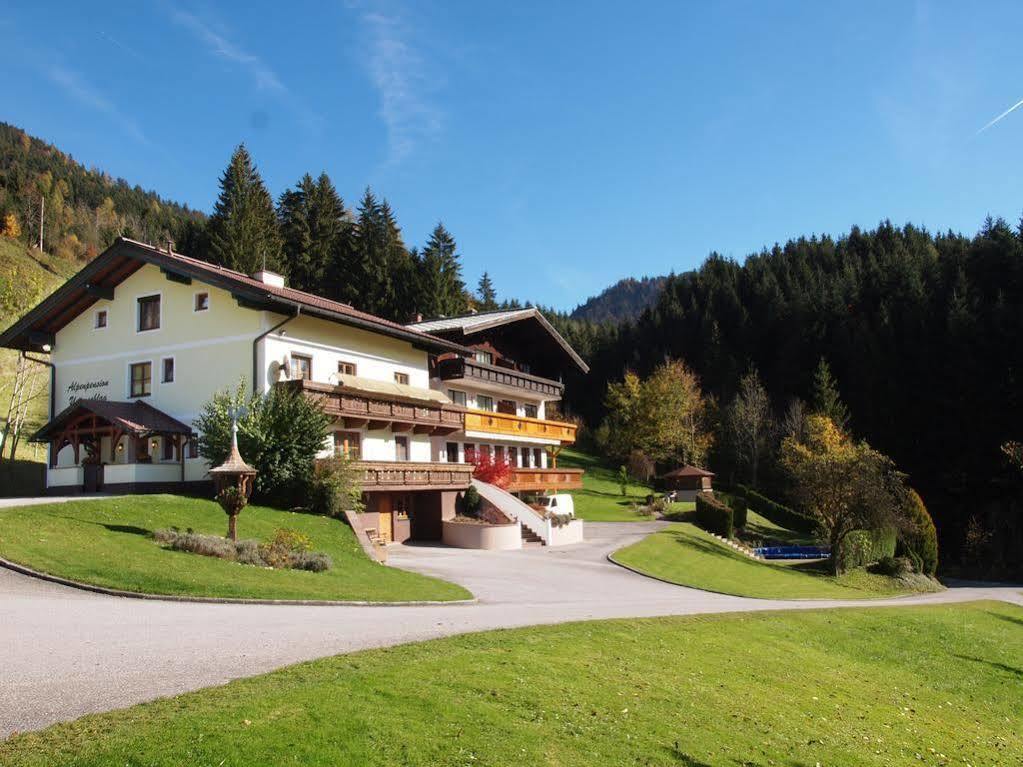 Alpenapartments Unterschlag Анаберг им Ламертал Екстериор снимка